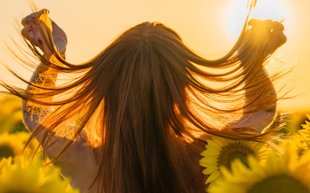 female silhouette in the sun with sun flowers